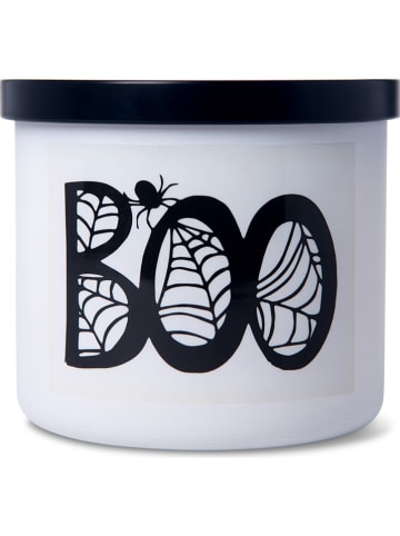 Colonial Candle Duftkerze "Boo" in Weiß - 411 g