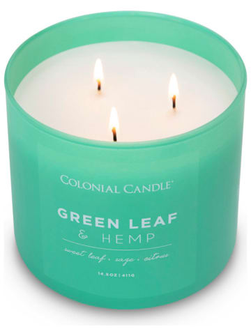 Colonial Candle Świeca zapachowa "Green Leaf Hemp" - 411 g