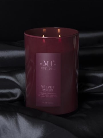 Colonial Candle Duftkerze "Velvet Moss" in Bordeaux, 623 g