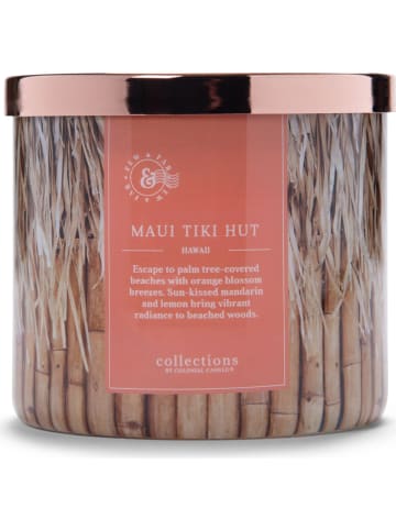 Colonial Candle Duftkerze "Maui Tiki Hut" in Hellbraun - 411 g