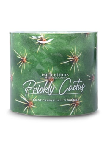 Colonial Candle Świeca zapachowa "Desert Prickly Cactus" - 411 g