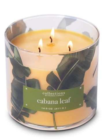 Colonial Candle Świeca zapachowa "Tropic Cabana Leaf" - 411 g