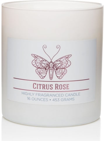 Colonial Candle Duftkerze "Citrus Rose" in Weiß - 453 g