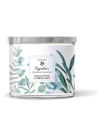 Woodbridge Świeca zapachowa " Eucalyptus & Fresh Mint " - 410 g