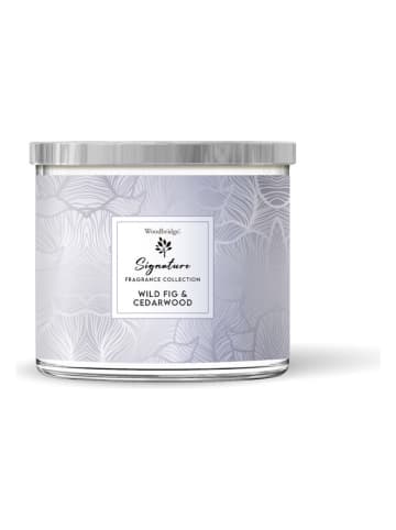 Woodbridge Duftkerze "Wild Fig & Cedarwood" in Grau - 410 g