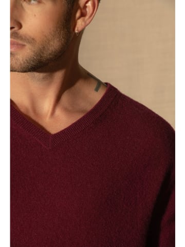 Perfect Cashmere Kaschmir-Pullover "Alexander" in Bordeaux