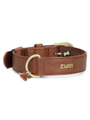 Zwei Halsband in Hellbraun - (L)50 cm