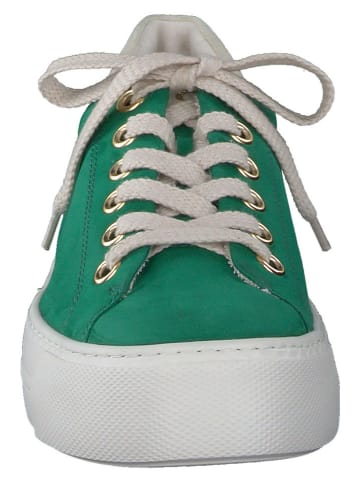 Paul Green Leder-Sneakers in Grün