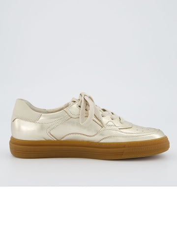 Paul Green Leder-Sneakers in Gold
