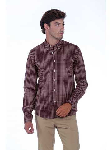 The Time of Bocha Hemd in Lila