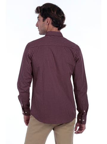 The Time of Bocha Blouse paars