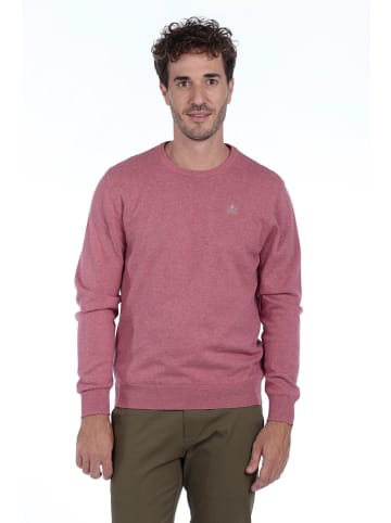 The Time of Bocha Pullover in Rosa