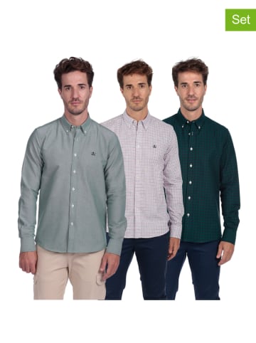 The Time of Bocha 3er-Set: Hemden in Dunkelgrün/ Grün/ Weiß