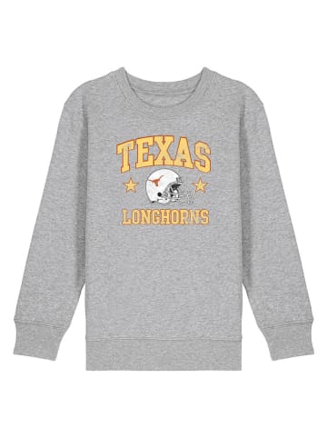 American Universities Sweatshirt "Texas Longhorns" in Grau