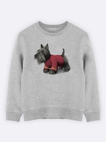 WOOOP Sweatshirt "Scotty" in Grau