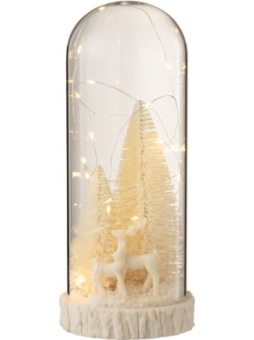 J Line LED-Dekoobjekt in Transparent/ Beige - (B)12 x (H)28 x (T)12 cm