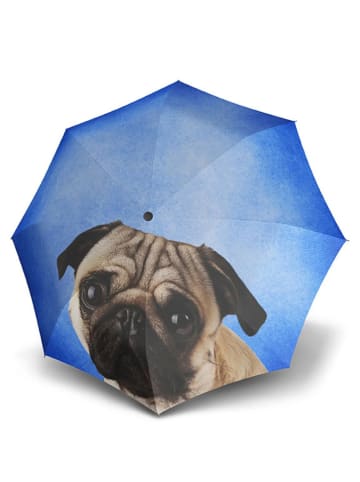 Doppler Stockschirm in Blau