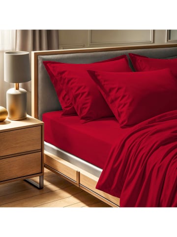 Colourful Cotton Renforcè-Spannbettlaken in Bordeaux