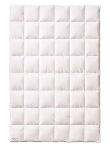 Sanders-Kauffmann Winter-Daunendecke "Weidegans" in Weiß - (L)220 x (B)155 cm