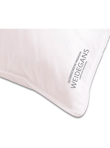 Sanders-Kauffmann Daunen-Kammerkissen "Weidegans" in Weiß - (L)80 x (B)80 cm