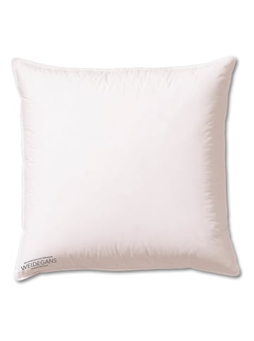 Sanders-Kauffmann Daunen-Kammerkissen "Weidegans" in Weiß - (L)80 x (B)80 cm