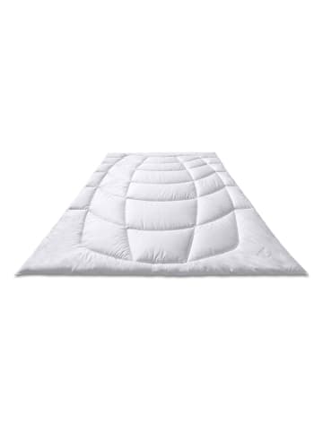 Sanders-Kauffmann Letnia kołdra w kolorze białym z włosiem wielbłąda - 220 x 155 cm