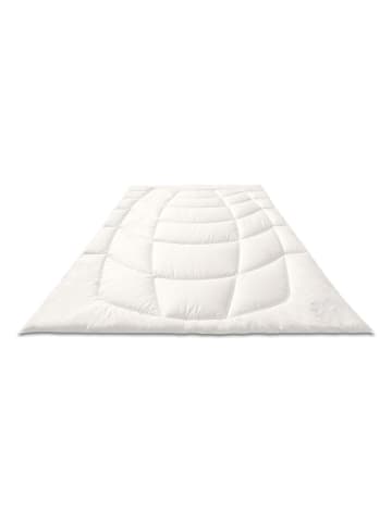 Sanders-Kauffmann Sommer-Bambusdecke in Weiß - (L)200 x (B)135 cm