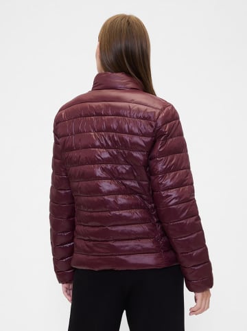 GAP Steppjacke in Bordeaux