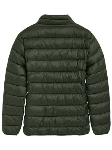 Polo Club Steppjacke in Dunkelgrün