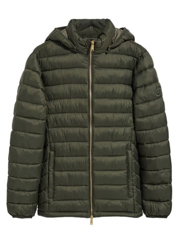 Polo Club Steppjacke in Khaki