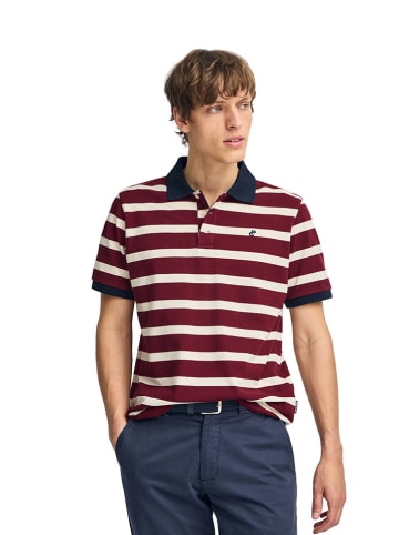 Polo Club Poloshirt bordeaux/crème