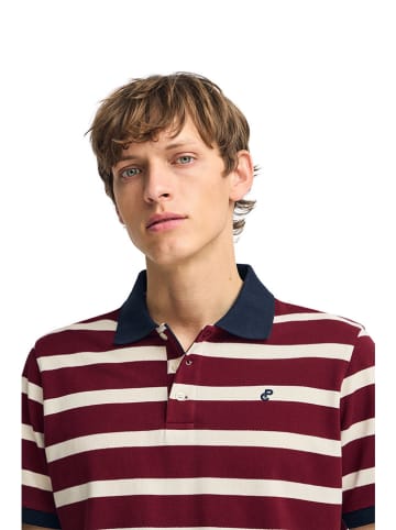 Polo Club Poloshirt in Bordeaux/ Creme