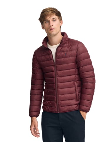 Polo Club Steppjacke in Bordeaux