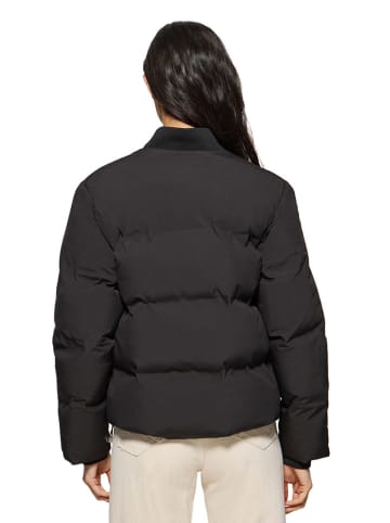 Polo Club Steppjacke in Schwarz