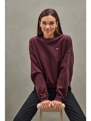 Polo Club Sweatshirt rood