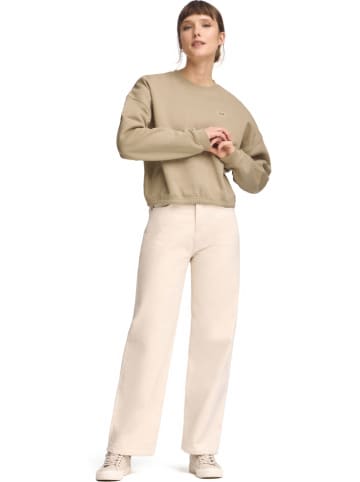 Polo Club Sweatshirt beige