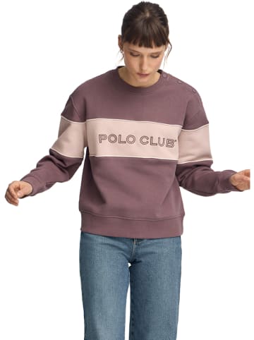 Polo Club Sweatshirt in Hellbraun