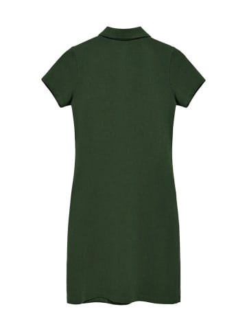 Polo Club Sukienka polo w kolorze zielonym