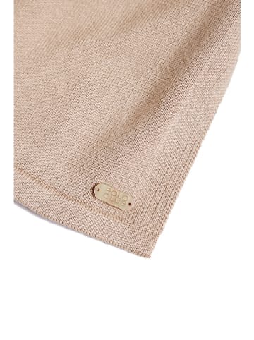 Polo Club Pullover in Beige