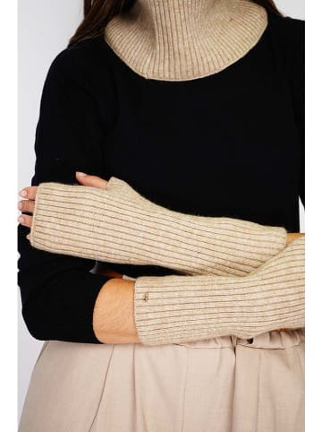 William de Faye Armstulpen camel