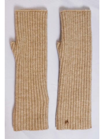 William de Faye Armstulpen in Camel