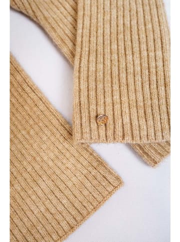 William de Faye Armstulpen camel