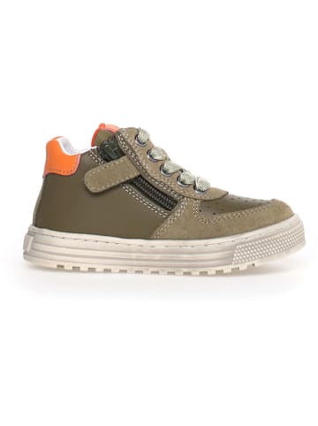 Naturino Leren sneakers "Hess" kaki