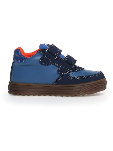 Naturino Leder-Sneakers "Hess" in Dunkelblau/ Blau