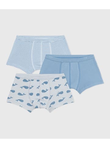 PETIT BATEAU 3er-Set: Boxershorts in Hellblau/ Weiß