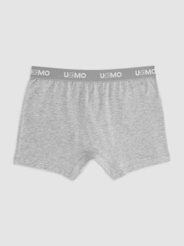 COTONELLA Boxershorts in Grau