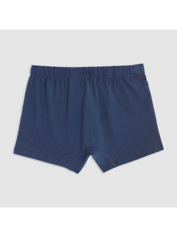COTONELLA Boxershort blauw