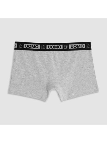 COTONELLA Boxershorts  in Grau