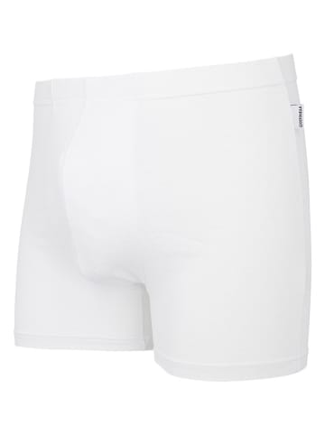 COTONELLA 2er-Set: Boxershorts in Weiß