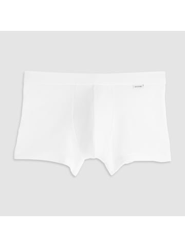 COTONELLA Boxershorts  in Weiß